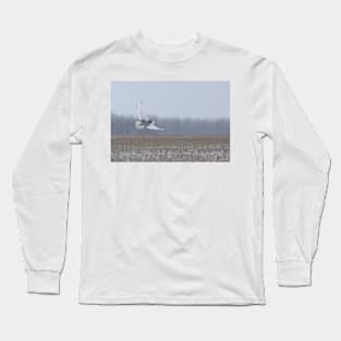 Snowy Owl takes flight Long Sleeve T-Shirt